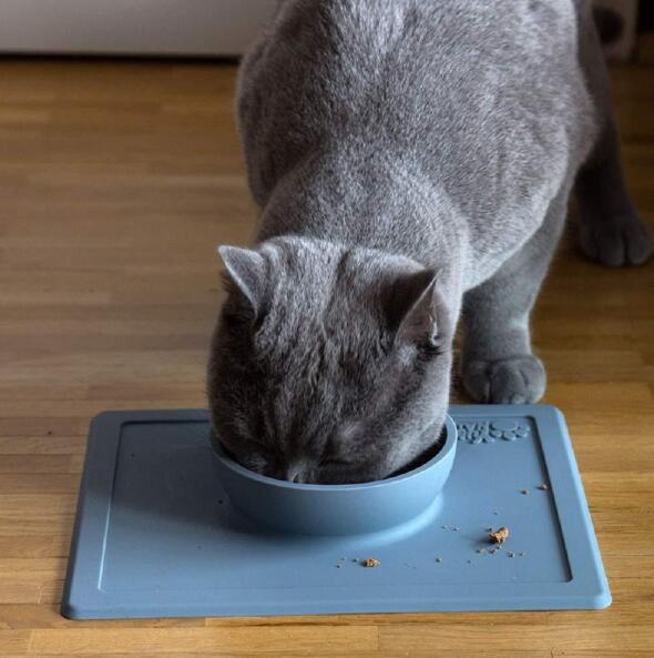 Silicone pet supplies strong suction anti-splash anti-sprinkler silicone pet bowl pet plate Saor Style