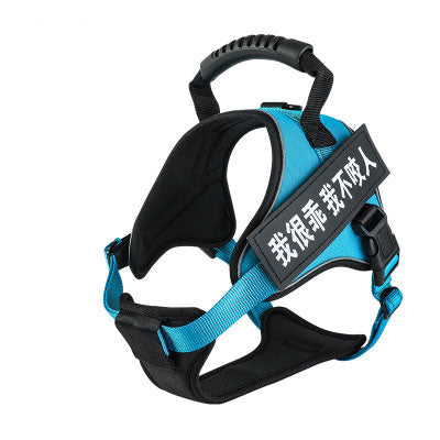 Pet Harness Saor Style