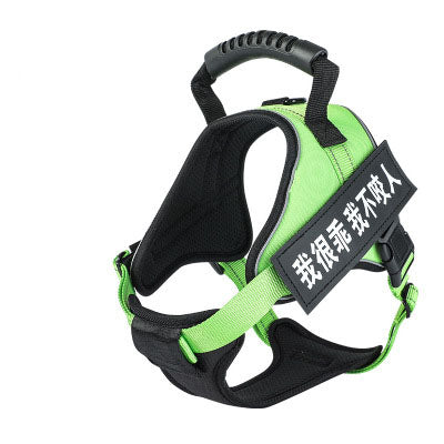 Pet Harness Saor Style