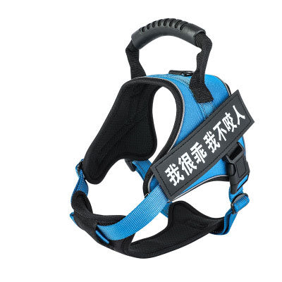 Pet Harness Saor Style