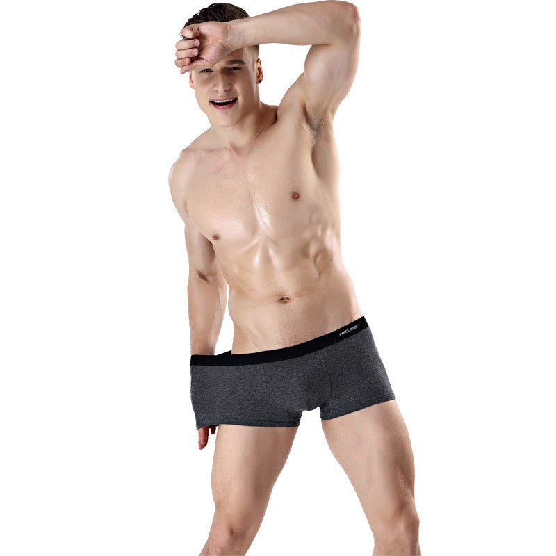 4 pairs of Men's Underwear Underwear briefs