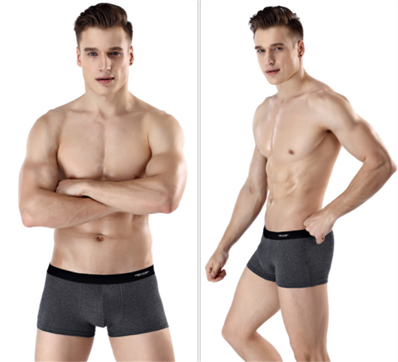 4 pairs of Men's Underwear Underwear briefs