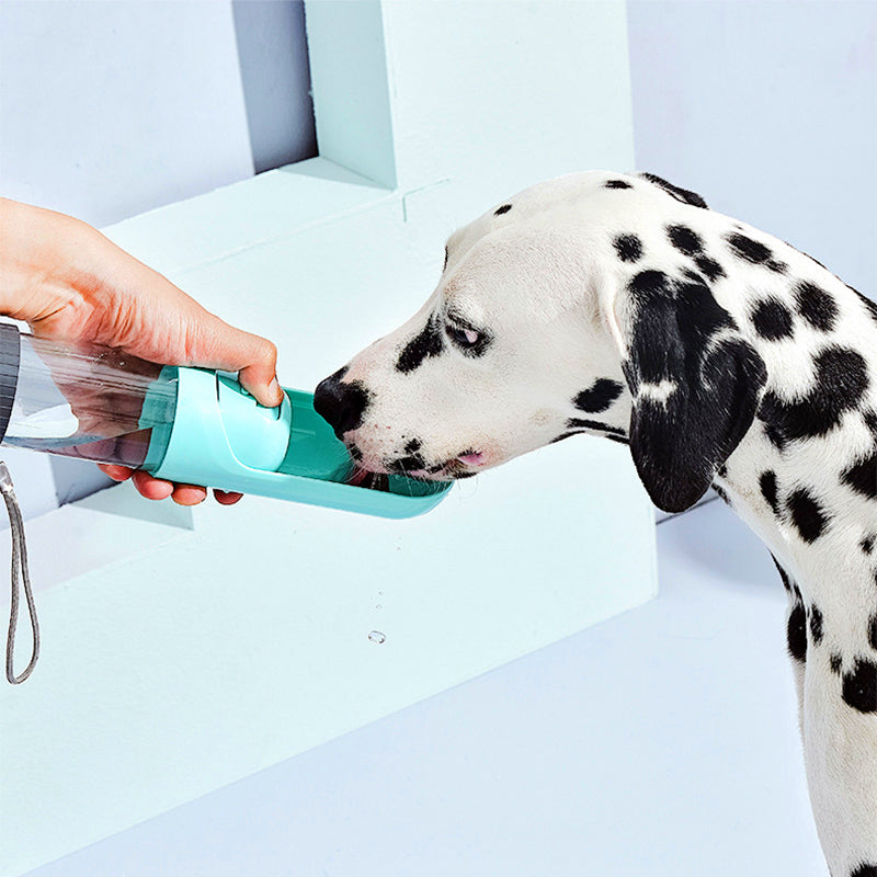 Pet Multifunctional Pet Accompanying Cup Portable Dog Water Cup Household Saor Style