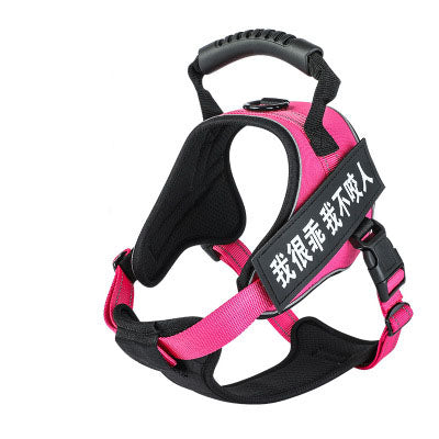 Pet Harness Saor Style