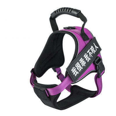 Pet Harness Saor Style