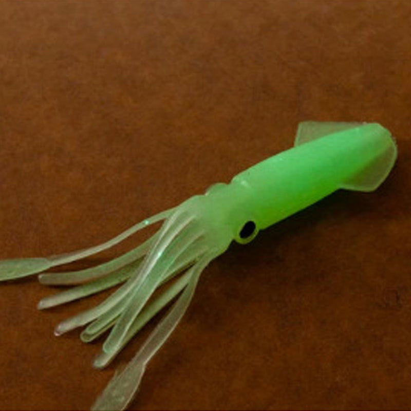 Sea fishing luminous squid bait GND Products