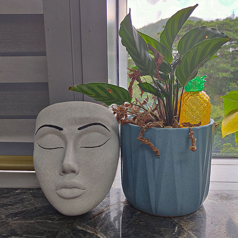 Garden Mask Flowerpot Desktop Wall