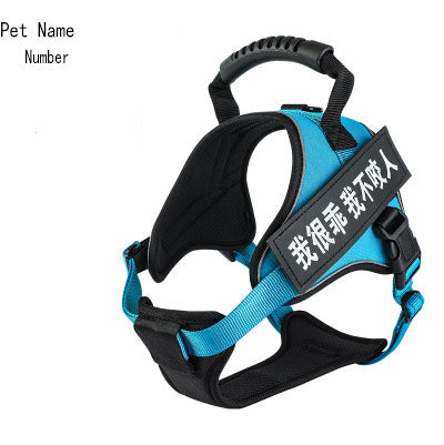 Pet Harness Saor Style