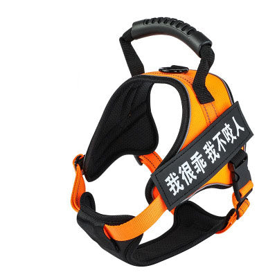 Pet Harness Saor Style