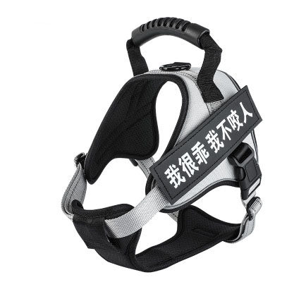 Pet Harness Saor Style