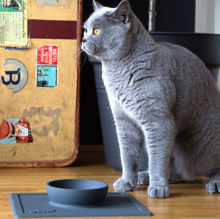 Silicone pet supplies strong suction anti-splash anti-sprinkler silicone pet bowl pet plate Saor Style
