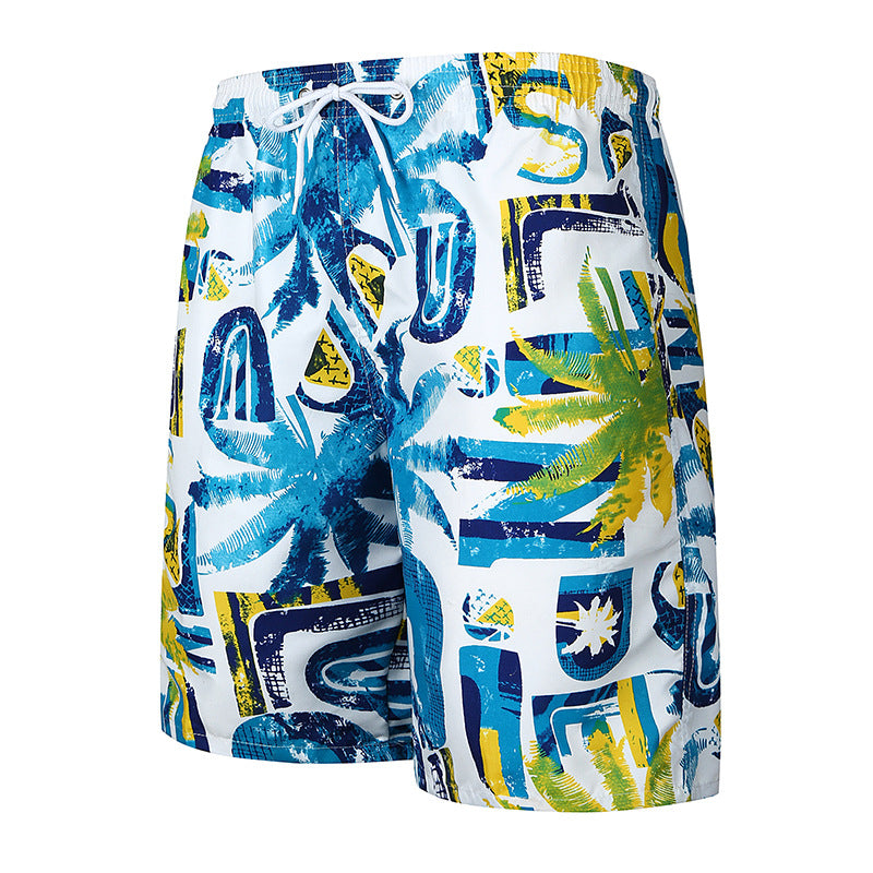 Hawk Bermuda Shorst