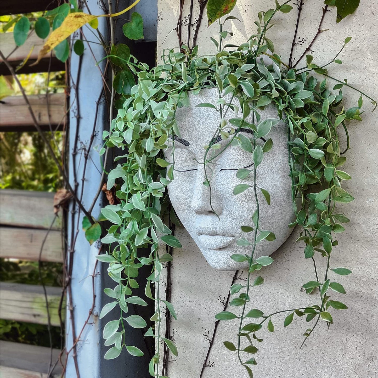 Garden Mask Flowerpot Desktop Wall