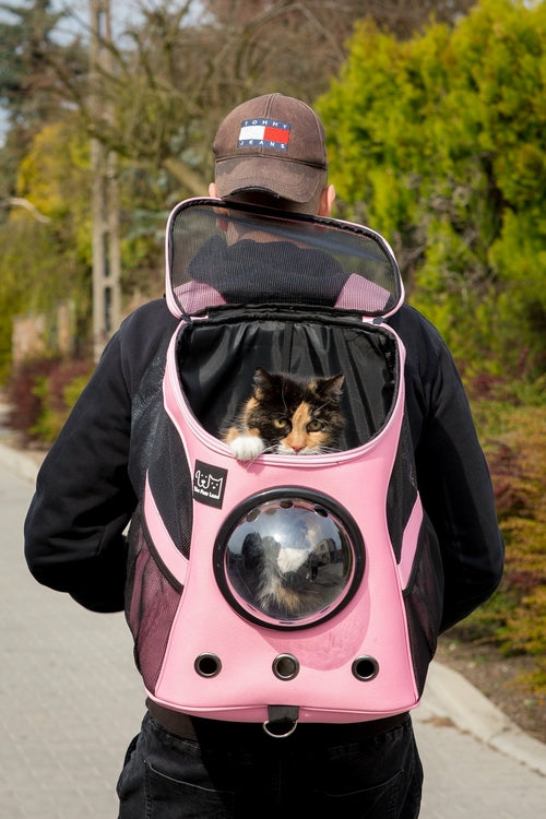 Pet Bubble Backpack Teal Winterberry