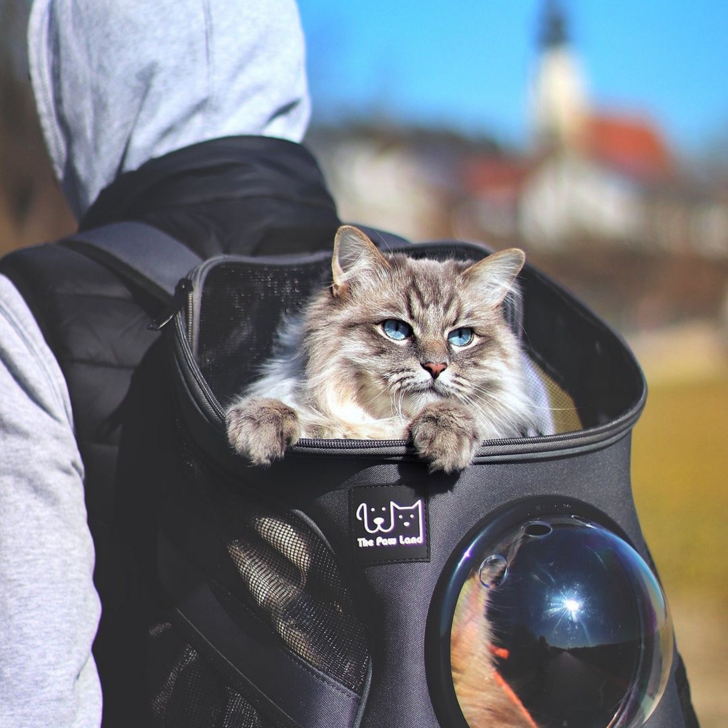Pet Bubble Backpack Teal Winterberry