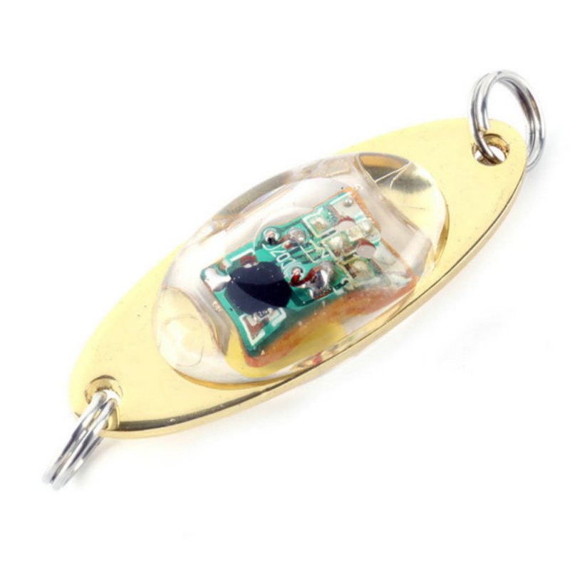 Button Battery Fish Lure Lamp Electronic Luminous Lure Fishing Lure GND Products
