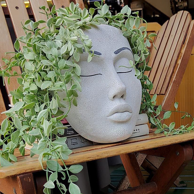 Garden Mask Flowerpot Desktop Wall