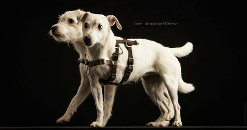 Anti-Stress-Geschirr STURMFREI® Saver für sehr kleine Hunde Mauve Athena